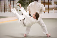 What Makes Traditional Japanese Jujutsu Different from Modern Systems?