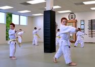 Happy Children’s Day! (Reasons Why We Love Our Ann Arbor Kids Karate and Judo Students)