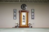 Martial Arts and the Magic of Persistance