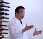 Ju Nana Hon (Basic 17 Techniques) Randori no Kata Ann Arbor Aikido Seminar