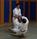 Tomiki Aikido Foundations Right Here in Ann Arbor