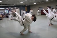 Japanese Martial Arts – Men and Women Fitness in Ann Arbor