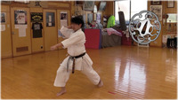 Train Directly with Shimizu Sensei in Tokyo!