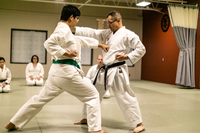 What Makes a Good Karate School?