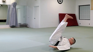 Suino Sensei performing a two-handed back fall | Martial arts Ann Arbor
