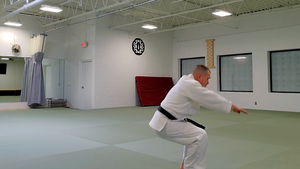 Suino Sensei performing a standing back fall | Martial Arts Ann Arbor