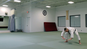 Suino Sensei performing a forward roll | Martial Arts Ann Arbor