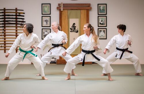 Women practicing karate in Ann Arbor