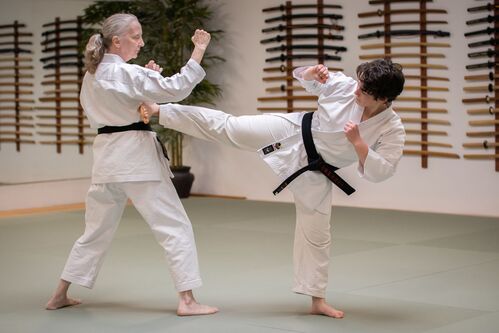 Women practicing karate in Ann Arbor