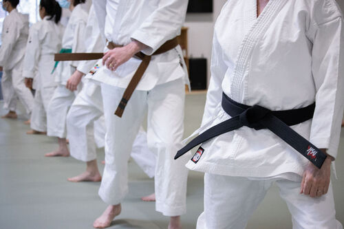 Karate Ann Arbor