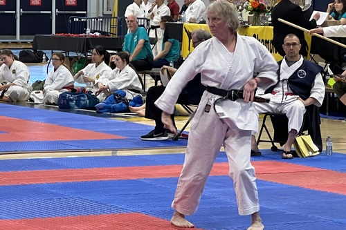 Adult Karate School Ann Arbor