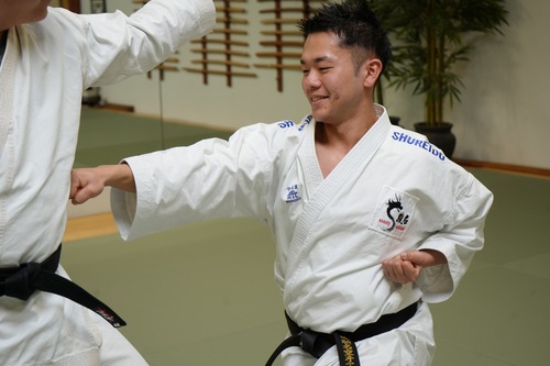 Karate in Ann Arbor at the JMAC dojo