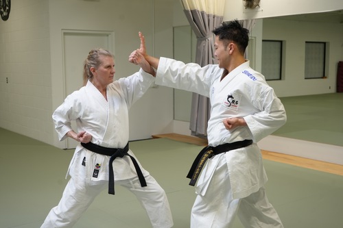 self-defense classes being taught in Ann Arbor at the JMAC dojo