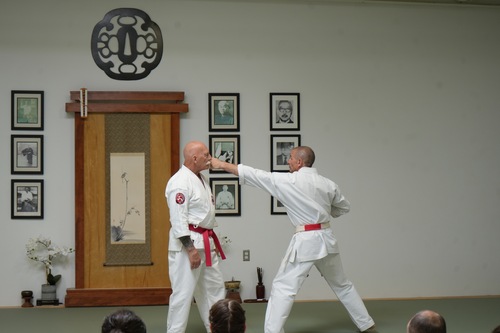 Adult karate class at JMAC Dojo in Ann Arbor