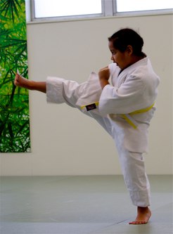 A student from the Ann Arbor Kids Karate program