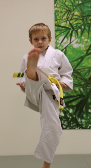 Ann Arbor Kids Karate student