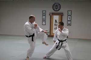 martial arts training men women fitness ann arbor, michigan