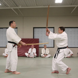 John Gage Sensei Teaches Martial Arts in Ann Arbor, Michigan 
