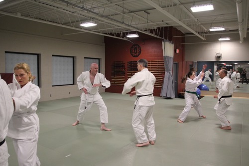 JMAC has classes in Japanese Jujutsu in Ann Arbor, MI