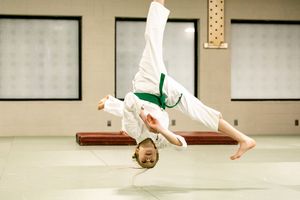 kids martial arts ann arbor, ann arbor kids martial arts, martial arts for kids