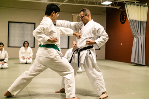 Two people practicing karate | Martial Arts Ann Arbor