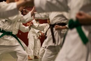 a crowd of martial artists practicing karate in Ann Arbor