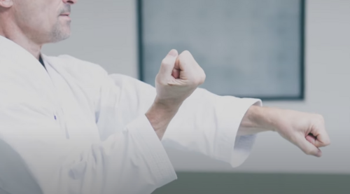 Suino sensei practicing seisan kata | Karate Ann Arbor